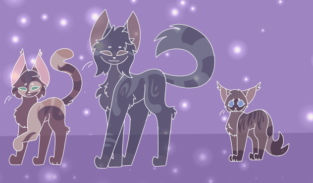 clan gen cats
