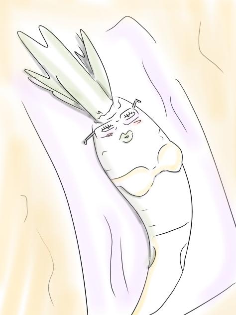 Radish in bikini (￣▽￣)