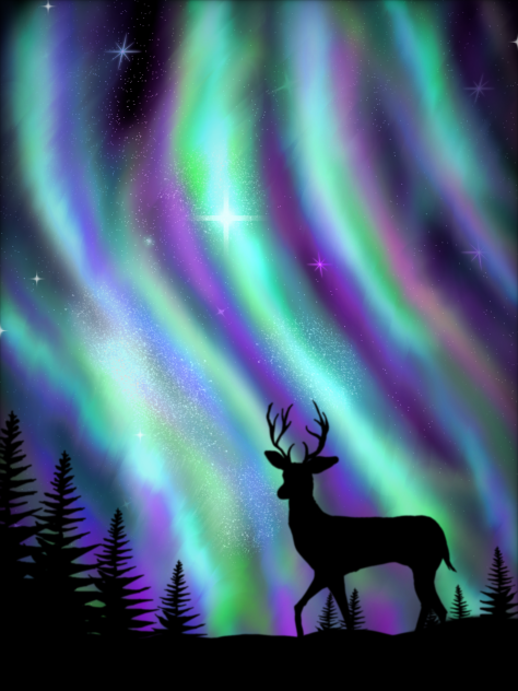 Northern lights