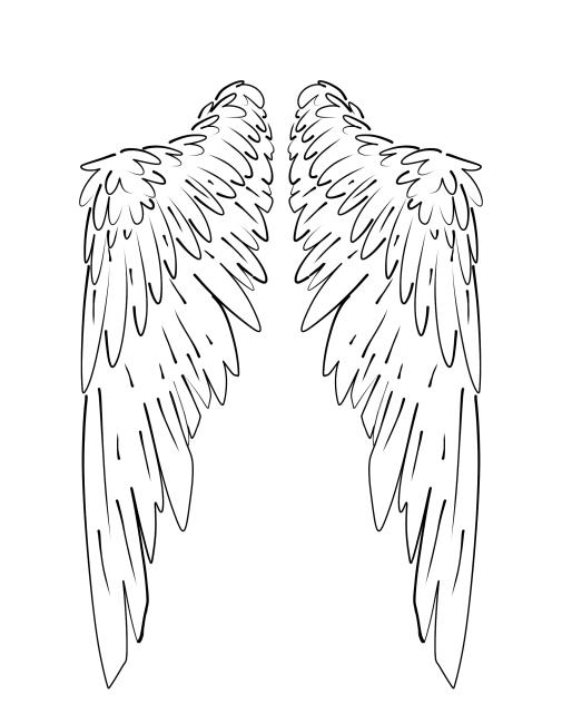 wings #7