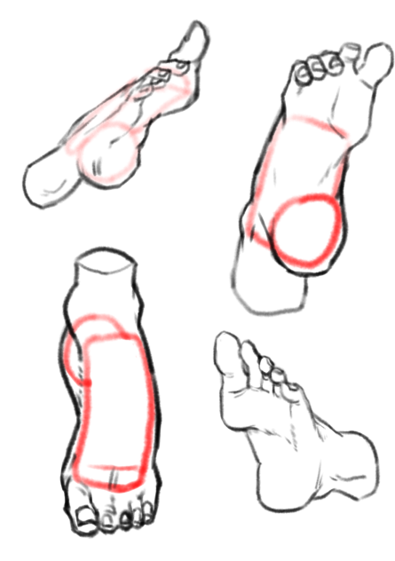 kind draw study 1.24