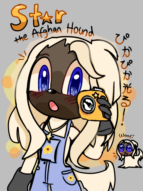 Star the Afghan Hound! Sonic OC!