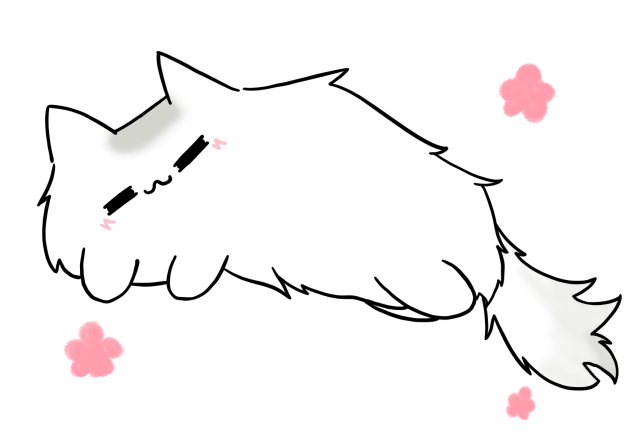 猫2
