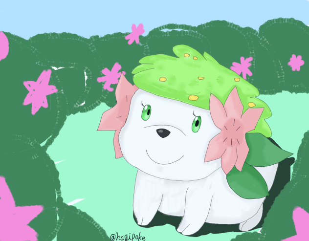 シェイミの日