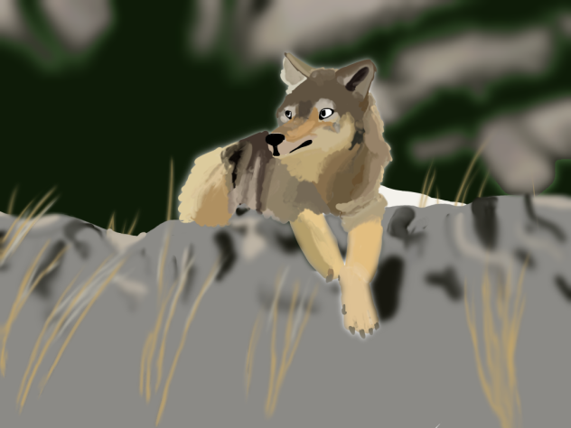 Quick Draw - ibisPaint