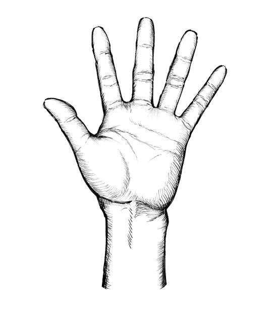 パーの手✋️