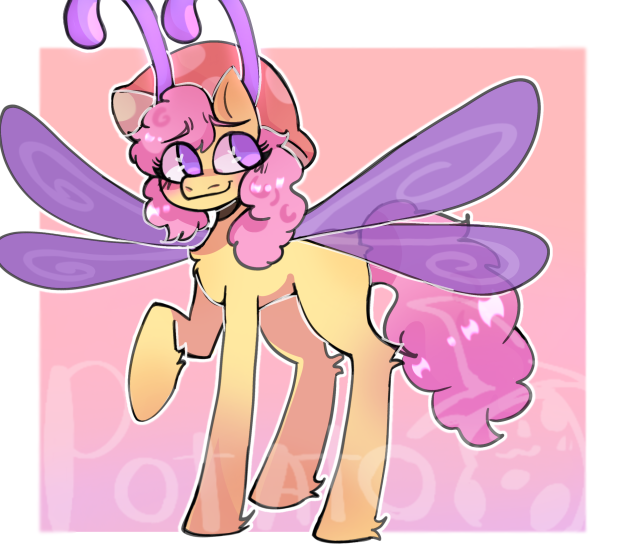 •PonyTail• (old MLP oc)