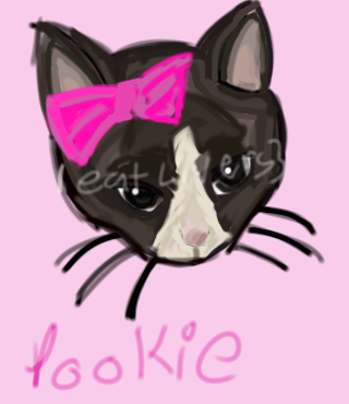 kitty 😺