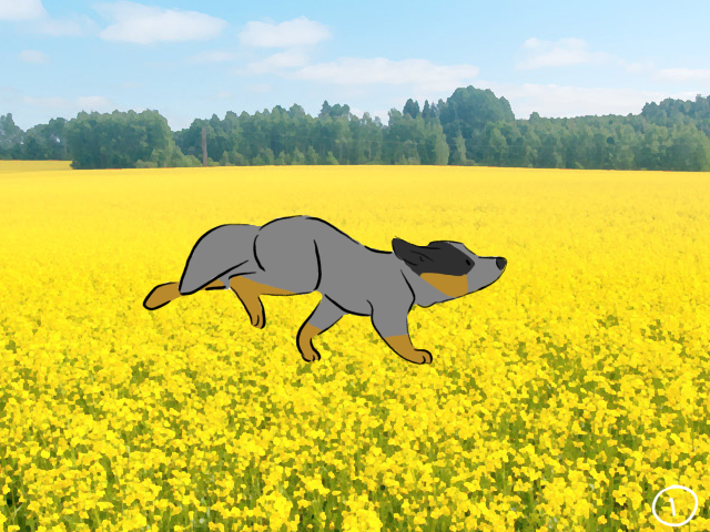 Blue heeler run cycle - ibisPaint
