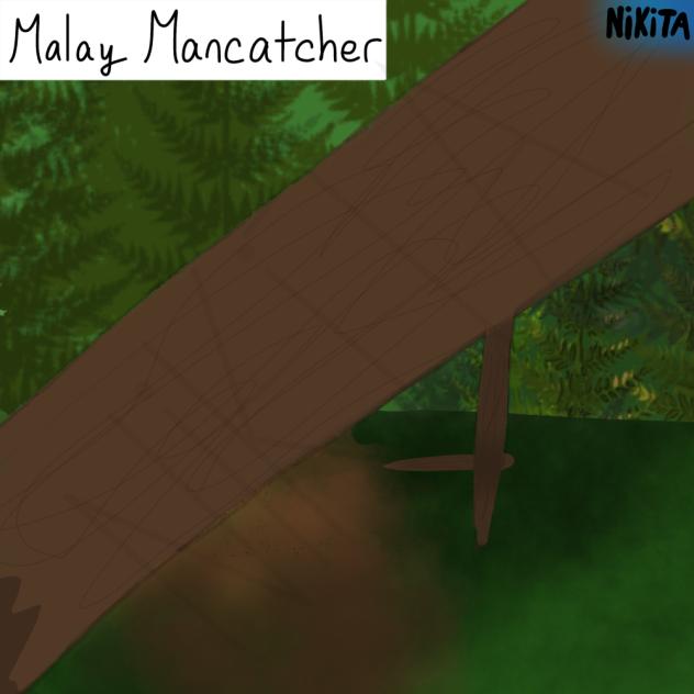 Malay Mancatcher