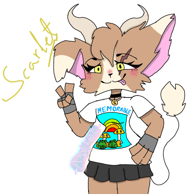 NUEVO PERSONAJE