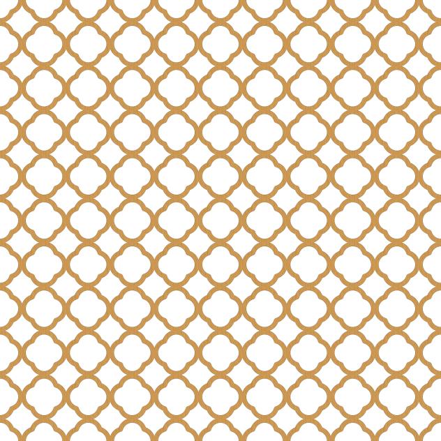 Moroccan quatrefoil pattern 3 b
