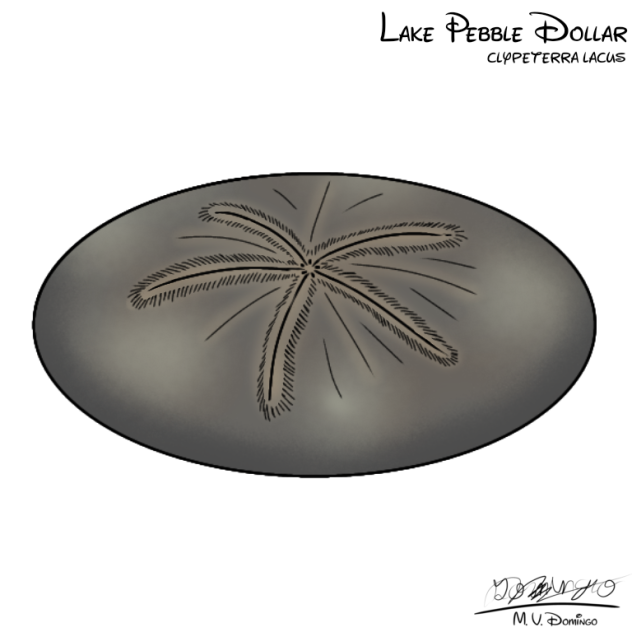 Lake Pebble Dollar