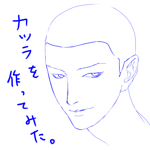 カツラ色々
