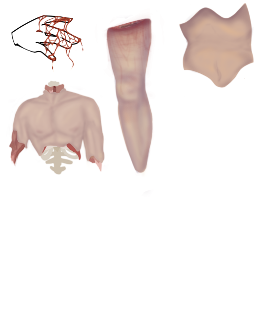 work in progress gore n skin
