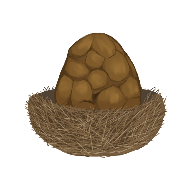 Dragon egg