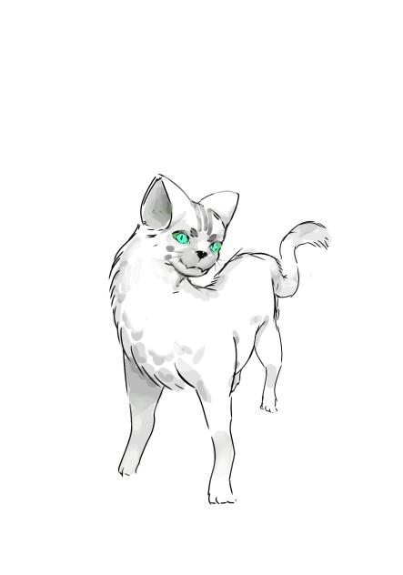 cat - ibisPaint