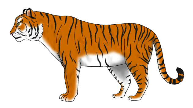 Bornean Tiger render