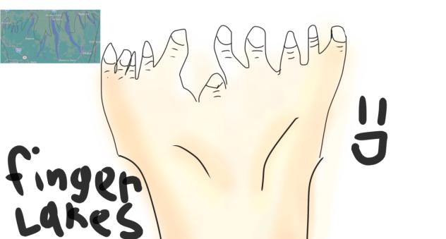 Only in upstate New York 💀