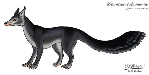 Blackslate Anchavalio