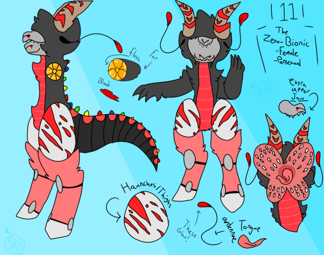 11’s Reference sheet!
