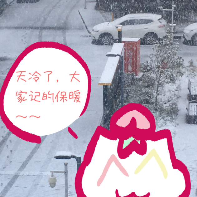 那边下雪的举个爪～