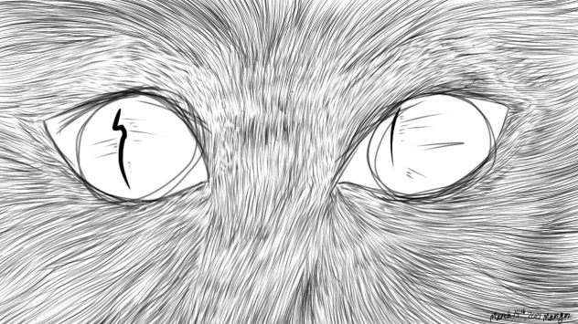 Wolf eyes