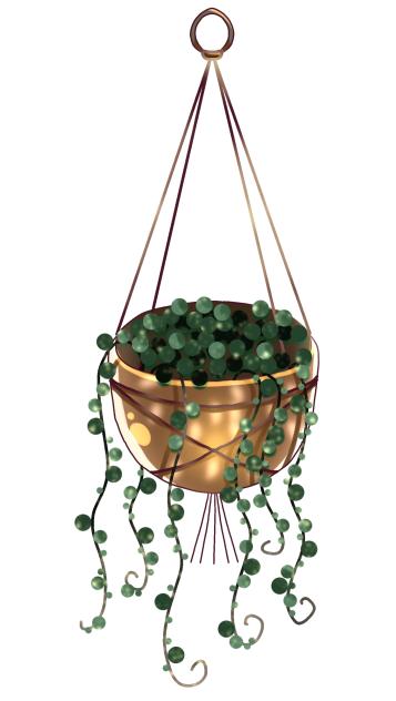 Hanging plant 3