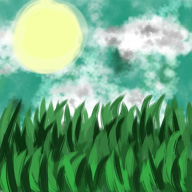 Sunny day