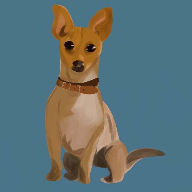 Papi (Beverly Hills Chihuahua)