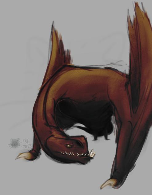 wyvern doodle