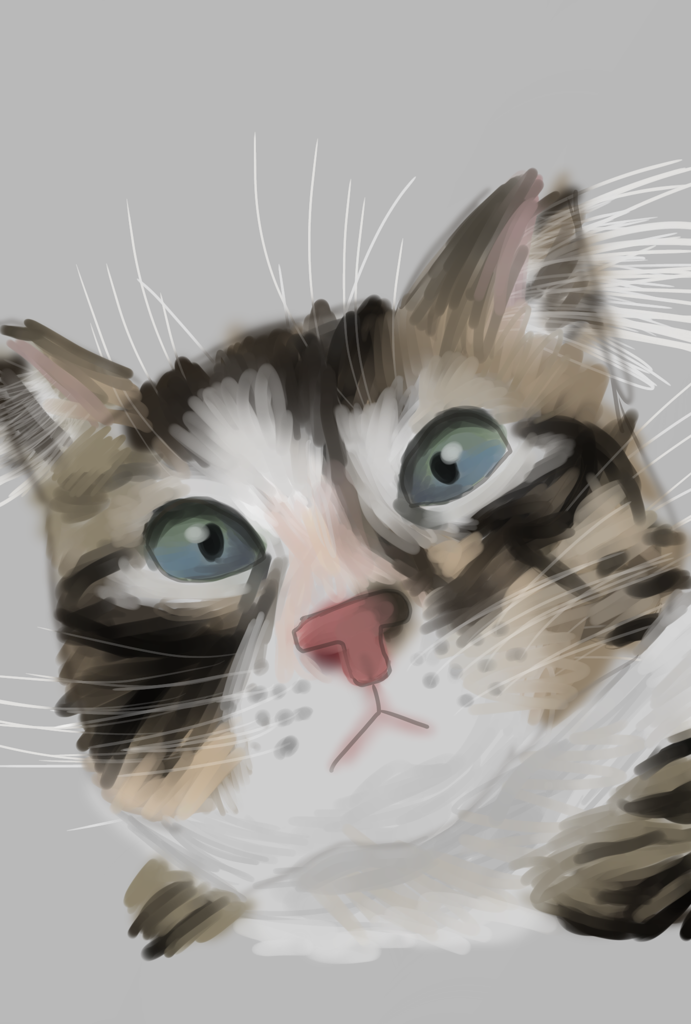 my cat - ibisPaint