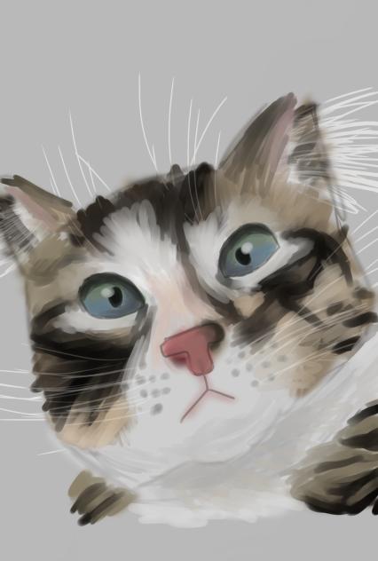 my cat - ibisPaint
