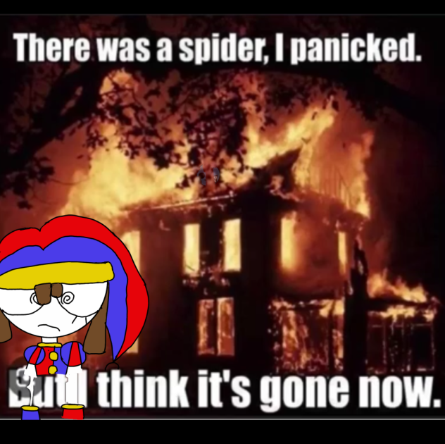 There was a spider…