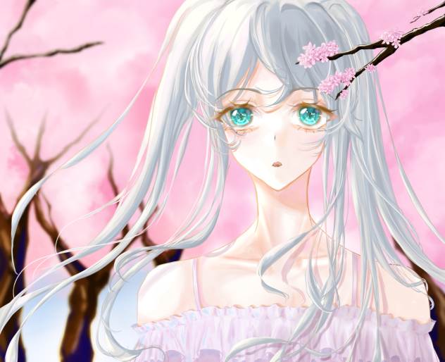 cherry blossoms in the sun