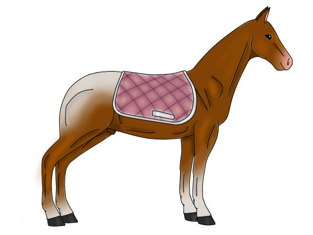 pink saddle pad 🩷