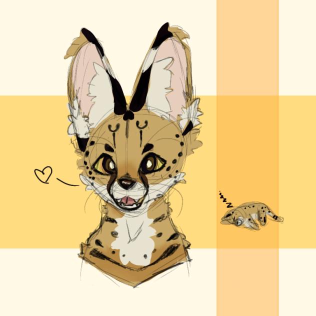 w.i.p