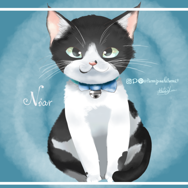 ネコちゃん🤍🖤