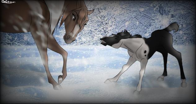 ~ A Chilly Winter ~