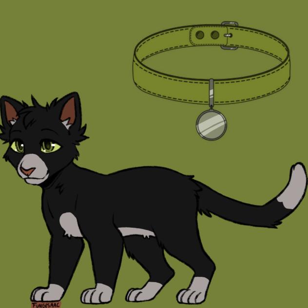 Tux - Cat OC.