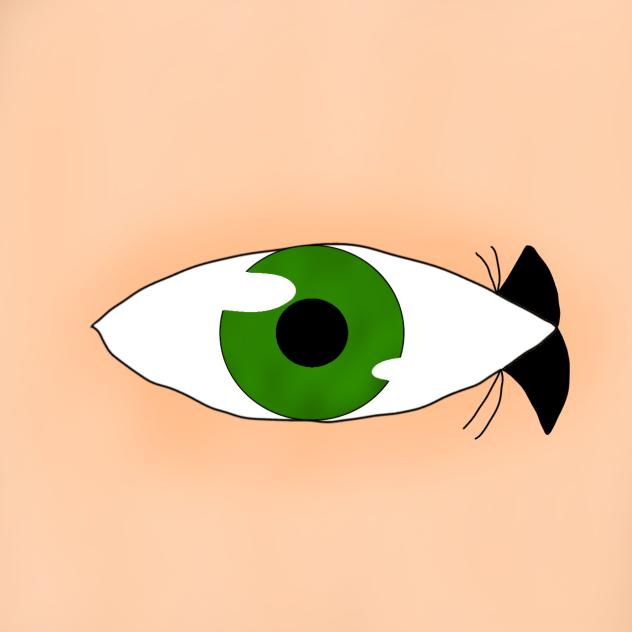 Eye