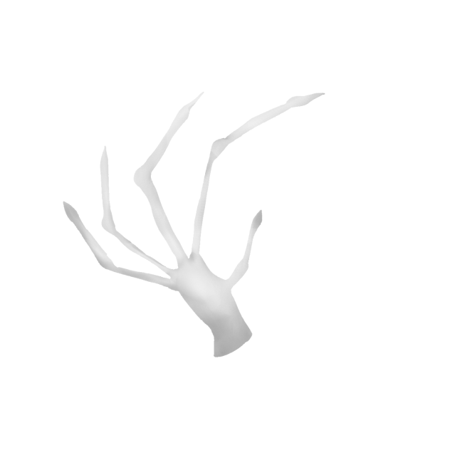 Weird hand thing