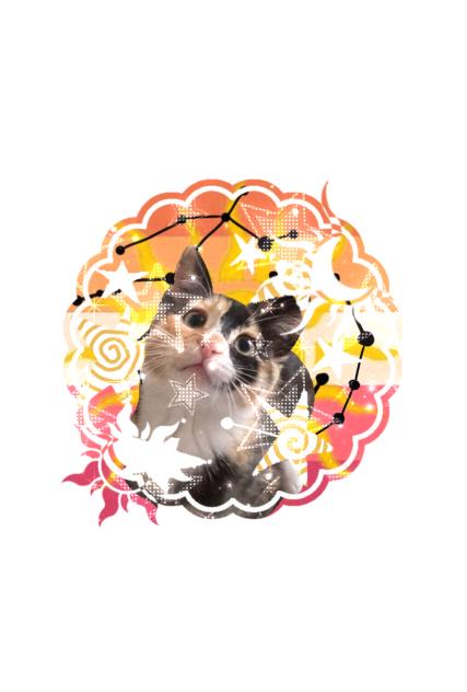 PFP #3 (technically #4)