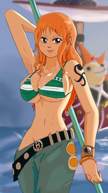 Nami from one piece fanart