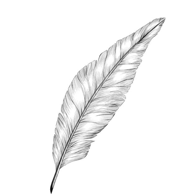 Feather