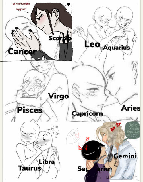 Zodiac couples collab