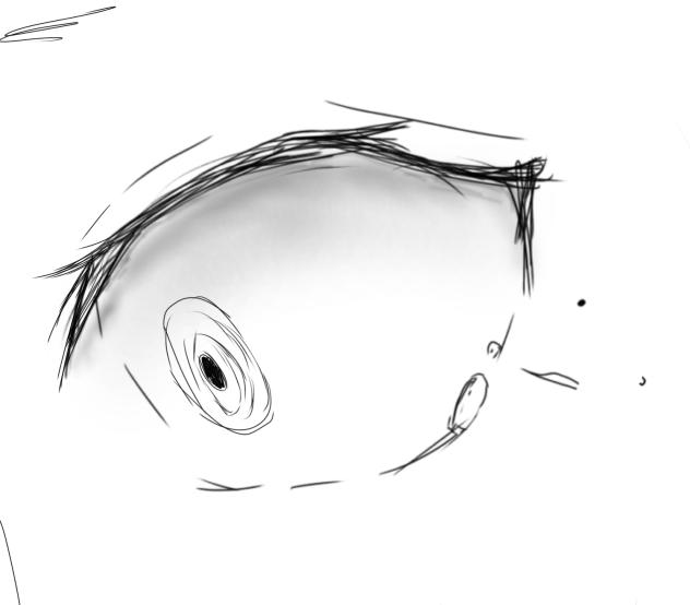 約14分間で描いた目