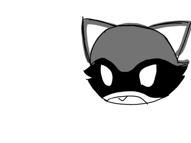 mapache 🦝