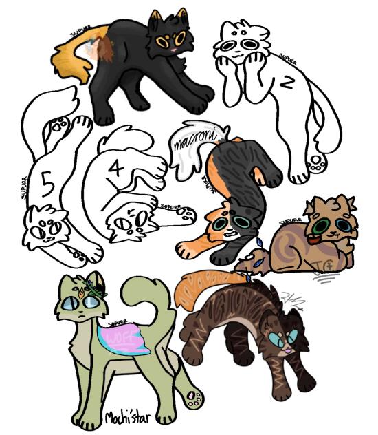 Mochistar (Warrior OC Collab)