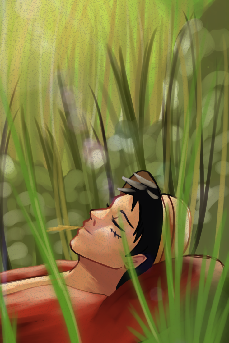 luffy - ibisPaint